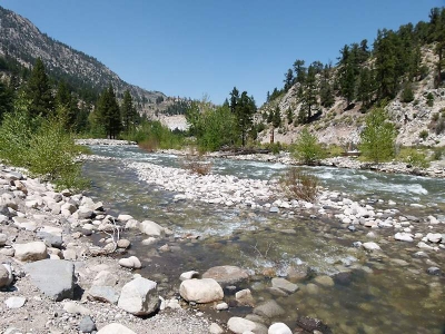 Carson River
