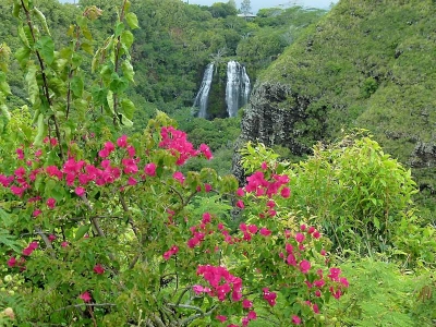 Opeakaa Falls (Kauai)