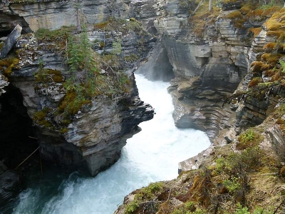 Mistaya Canyon (Banff NP)