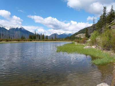 Vermilion Lakes (Banff NP)
