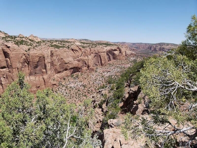 Navajo Nat'l Mon.